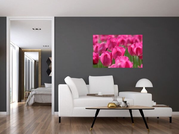 Slika - Ružičasti tulipani (90x60 cm)