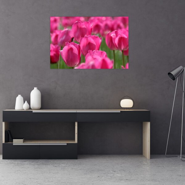 Slika - Ružičasti tulipani (90x60 cm)