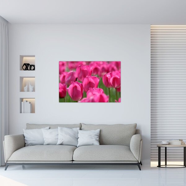 Slika - Ružičasti tulipani (90x60 cm)