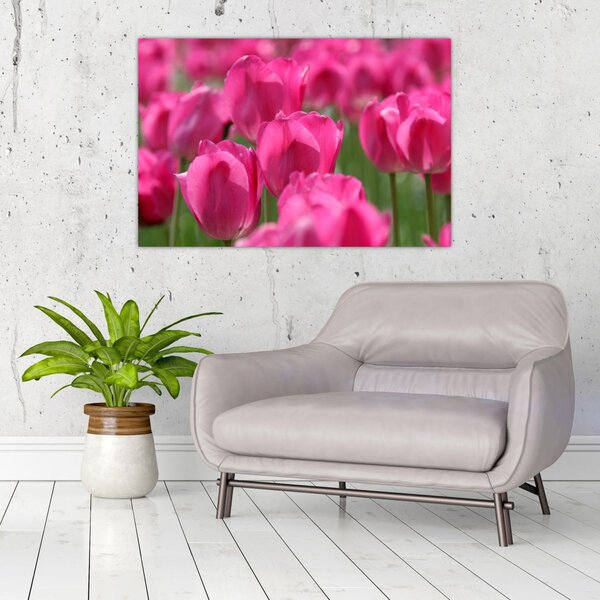 Slika - Ružičasti tulipani (90x60 cm)