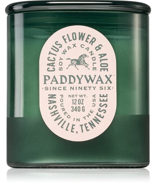 Paddywax Vista Cactus Flower & Aloe mirisna svijeća 340 g