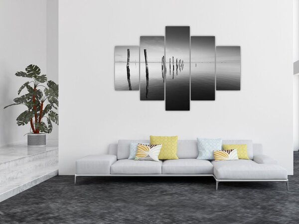 Slika crno-bijele vodene površine (150x105 cm)