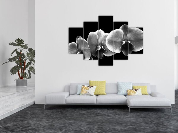 Slika cvijeta orhideje (150x105 cm)