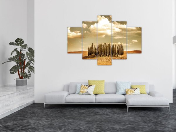 Slika proplanka (150x105 cm)