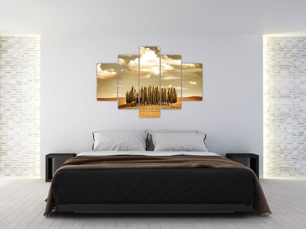 Slika proplanka (150x105 cm)