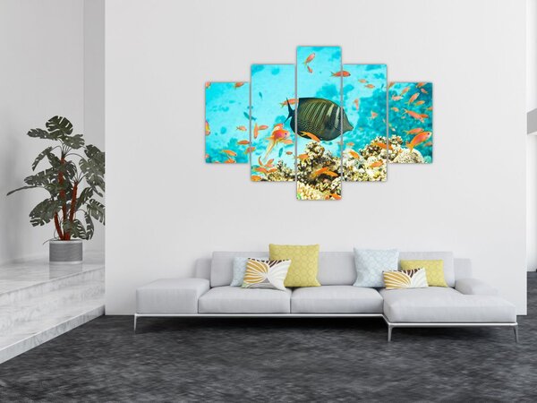 Slika podmorskog svijeta (150x105 cm)