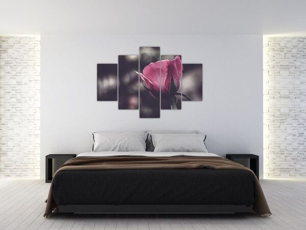 Slika - Detalj cvijeta ruže (150x105 cm)