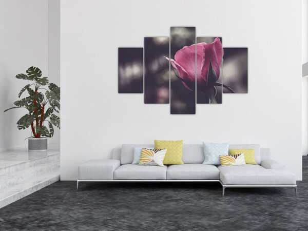 Slika - Detalj cvijeta ruže (150x105 cm)