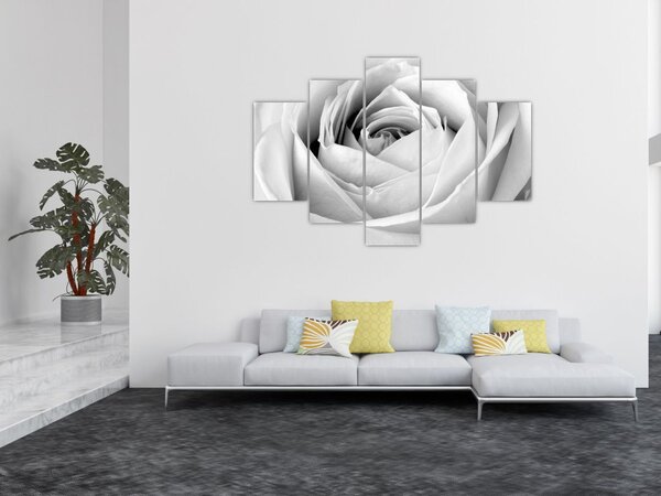 Slika - Detalj cvijeta ruže (150x105 cm)