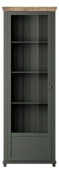 Vitrina Elvina Typ 05 (tamnozelena + hrast lefkas) (L)