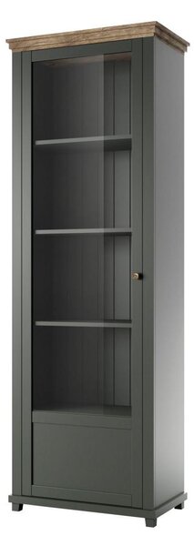 Vitrina Elvina Typ 05 (tamnozelena + hrast lefkas) (L)