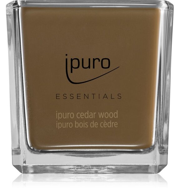 Ipuro Essentials Cedar Wood mirisna svijeća 125 g