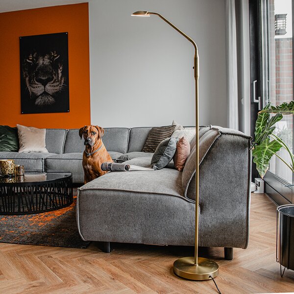 Moderna podna lampa brončana uključujući LED - Eva