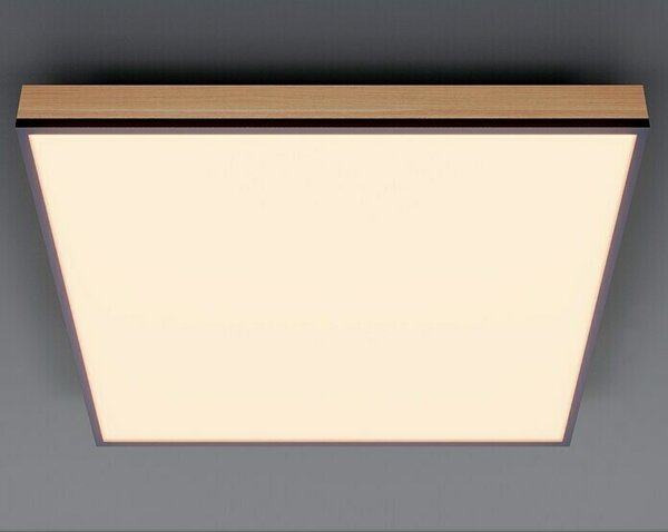 Globo Doro LED panel (24 W, 45 x 45 cm, Topla bijela)