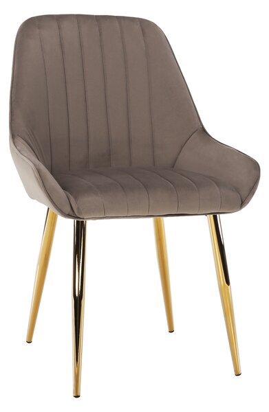 Zondo Blagovaonska stolica Soddy (sivo-smeđa + zlatna). 1034344