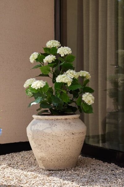 Umjetna hortenzija 90 cm UV – za vanjsku upotrebu - Bijela - 71 - 90 cm - DA
