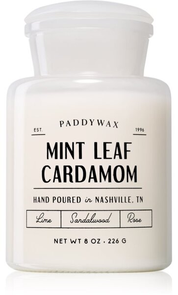 Paddywax Farmhouse Mint Leaf & Cardamom mirisna svijeća (Apothecary) 226 g