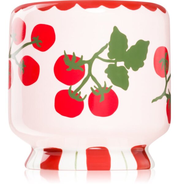 Paddywax A Dopo Tomato Vine mirisna svijeća 226 g