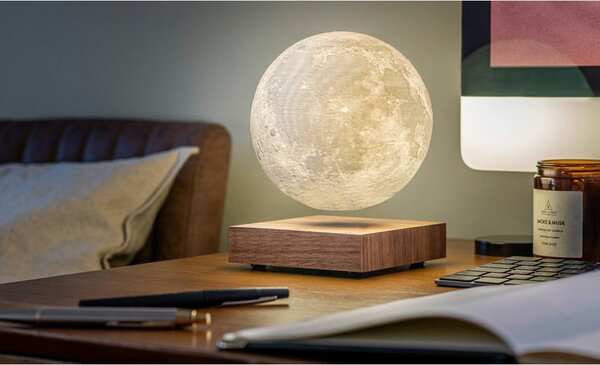 Smeđi svjetlosni ukras s utikačem ø 12 cm Moon – Gingko