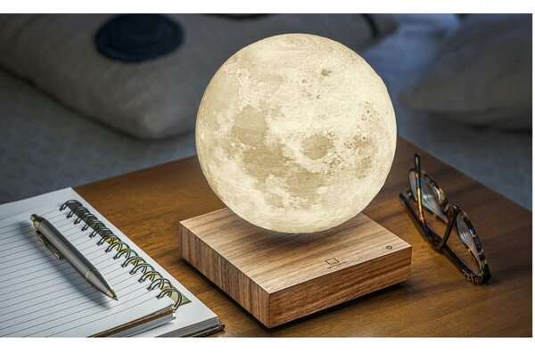 Smeđi svjetlosni ukras s utikačem ø 12 cm Moon – Gingko