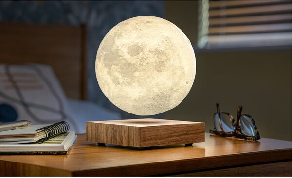Smeđi svjetlosni ukras s utikačem ø 12 cm Moon – Gingko