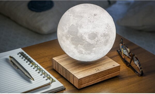 Smeđi svjetlosni ukras s utikačem ø 12 cm Moon – Gingko