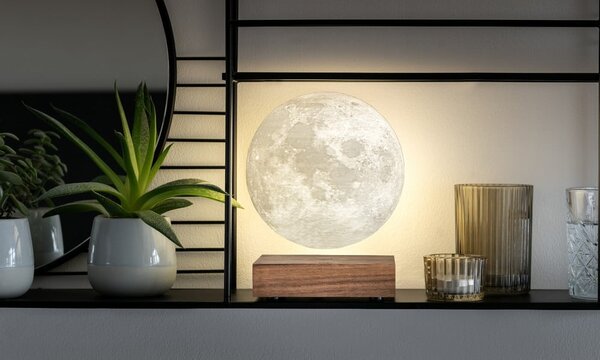 Smeđi svjetlosni ukras s utikačem ø 12 cm Moon – Gingko