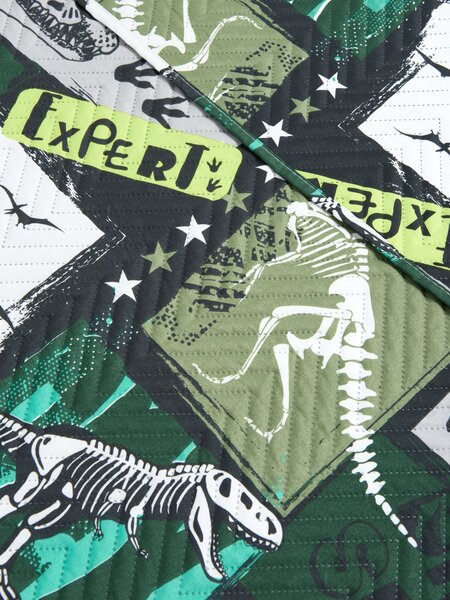 Sinsay - Prekrivač za krevet s motivom dinosaura