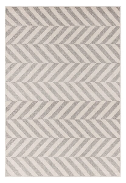 Svijetlo sivi tepih 120x170 cm Muse – Asiatic Carpets