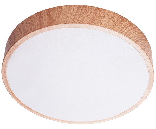 Stropni luster APP1404-C 30cm