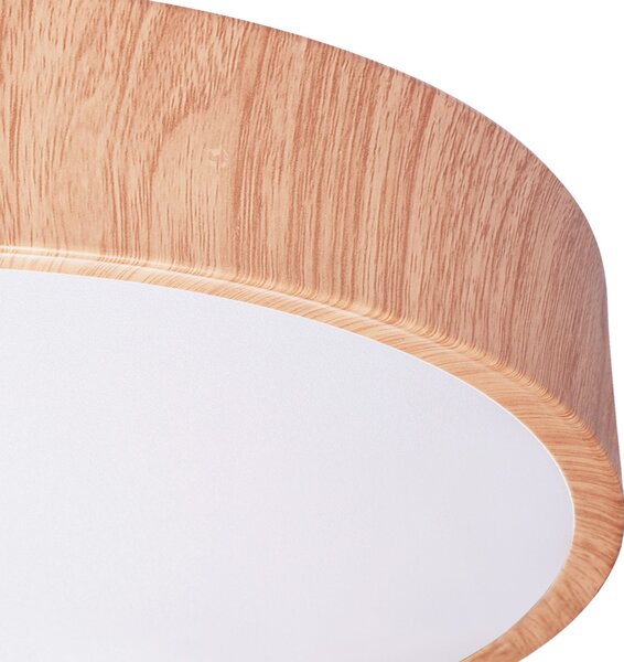 Stropni luster APP1404-C 30cm