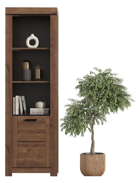 Zondo.hr Regal Britt 1D (hrast smeđi). Akcija -24%. 1052800