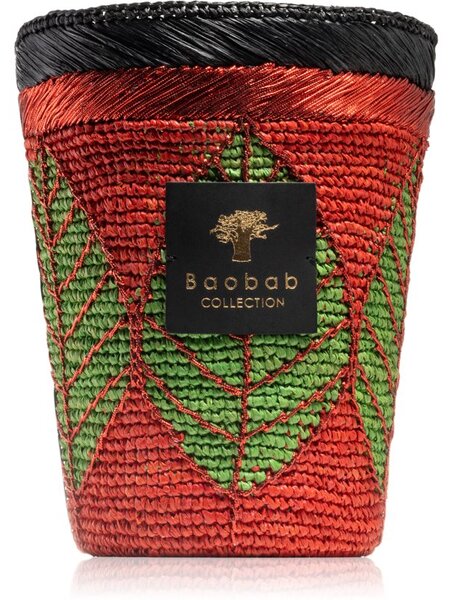 Baobab Collection Hazo Noely mirisna svijeća 24 cm