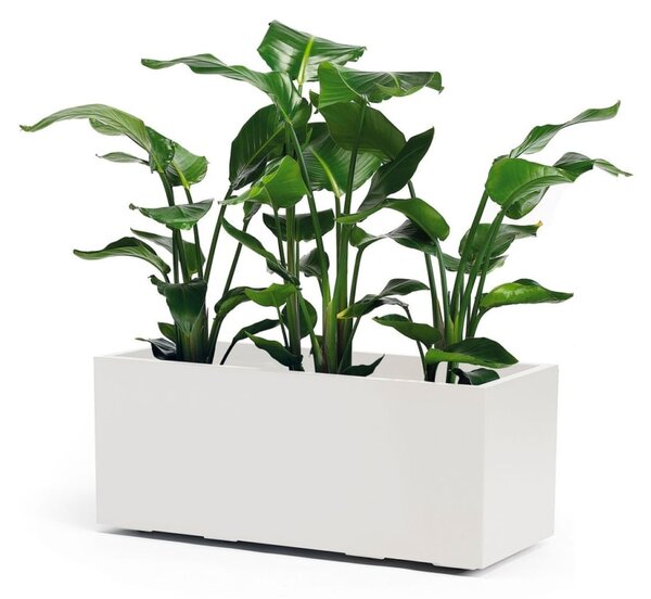 Žardinjera za cvijeće 100 x 40 cm Nature (više boja) - Bijela