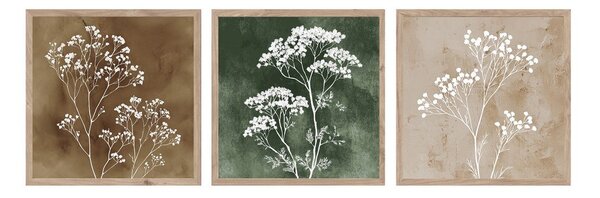 Slike u setu 3 kom 30x30 cm Floral Imprint – Styler