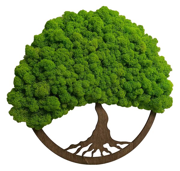 Mahovina drvo života 30cm