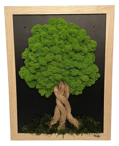 Slika od mahovine u svijetlosmeđem okviru 34 x 44 cm