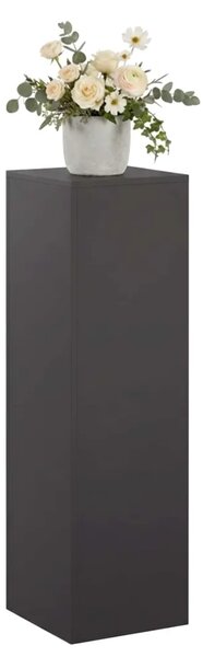 Stalak za biljke Crna 30 x 30 x 100 cm Čelik - Crna 1x (30 x 30 x 100 cm)