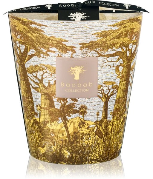 Baobab Collection Sacred Trees Bounkani mirisna svijeća 1100 g