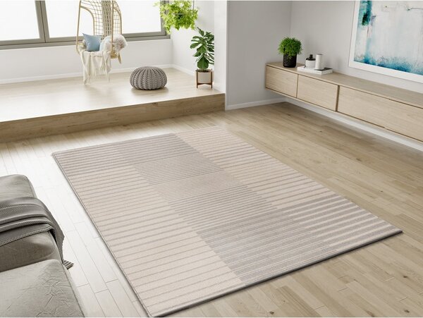 Svijetlo sivi tepih 80x150 cm Optica – Bonami Selection