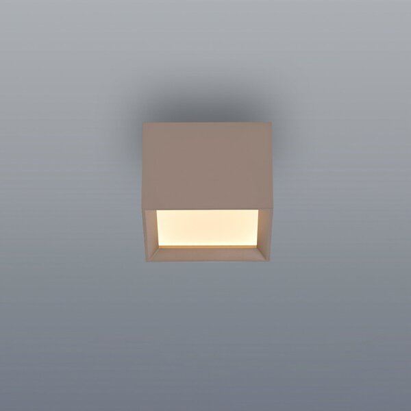 PURE Manhattan LED stropna svjetiljka, bronca, jednolampa, CCT, prigušiva, Bronca / stari mesing, Područje hodnika, Aluminij