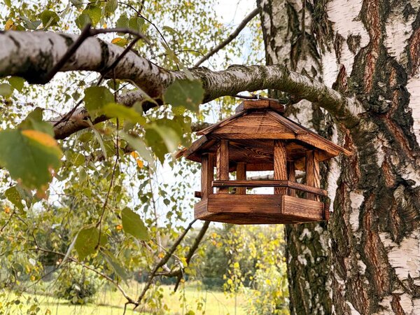 ATMOWOOD Tan hranilica za ptice - šesterokut