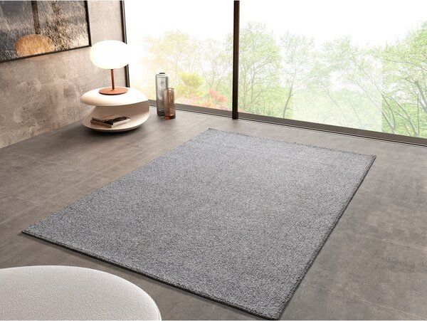 Svijetlo sivi tepih 120x170 cm Petra Liso – Universal