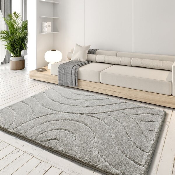 Svijetlo sivi tepih 60x120 cm Molier – Universal