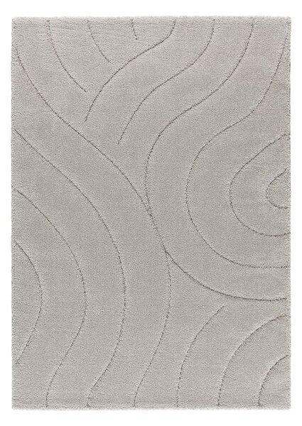 Svijetlo sivi tepih 60x120 cm Molier – Universal