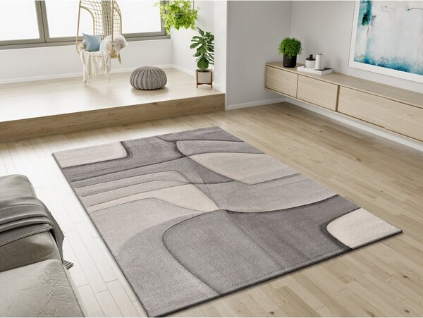 Sivi tepih 160x230 cm Medel – Universal