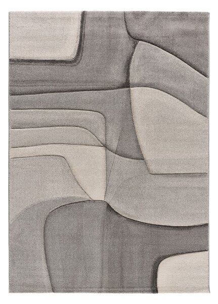 Sivi tepih 160x230 cm Medel – Universal
