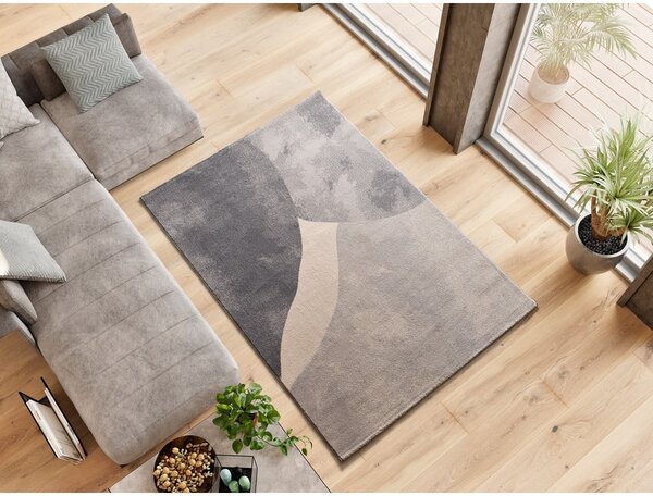 Sivi tepih 160x230 cm Monic – Universal