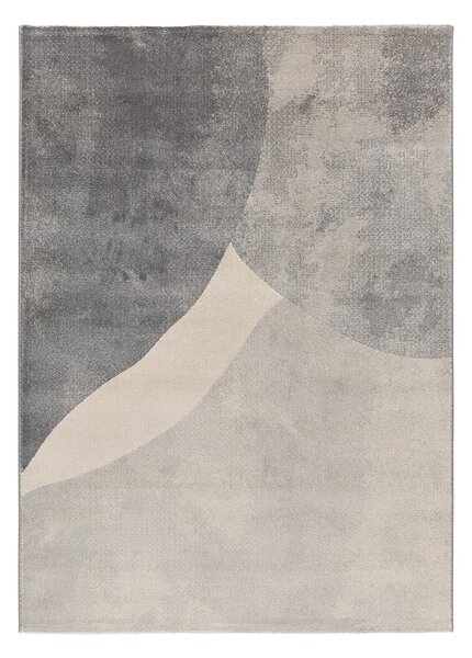 Sivi tepih 160x230 cm Monic – Universal