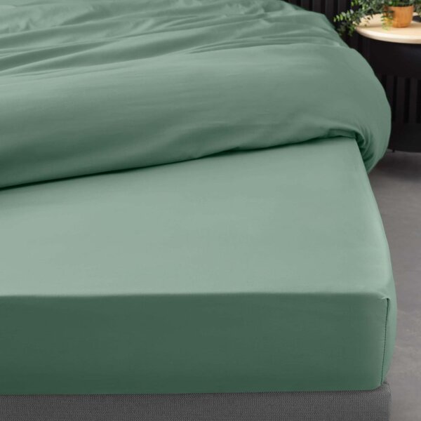 Zelena plahta s gumom od pamučnog perkala 160x200 cm Percaline – douceur d'intérieur